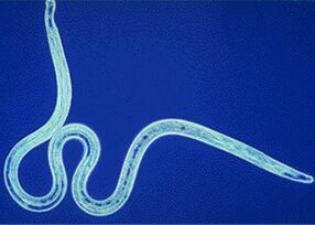 Parasites